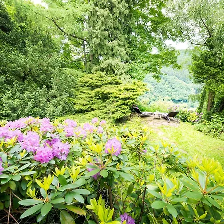 Parkhotel Atlantic Szálloda 3*