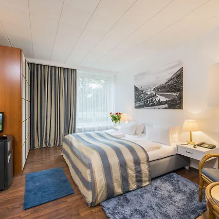 Parkhotel Atlantic מלון היידלברג